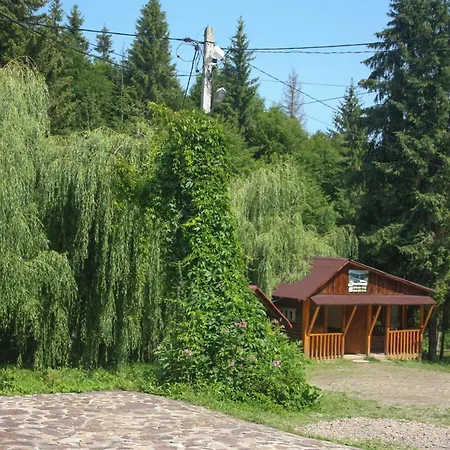 Zarinok
