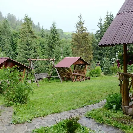 Zarinok