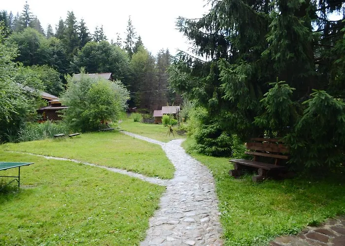Отель Zarinok 3*