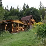 Hotel Zarinok 3*