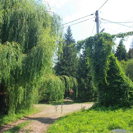 Hotel Zarinok 3*