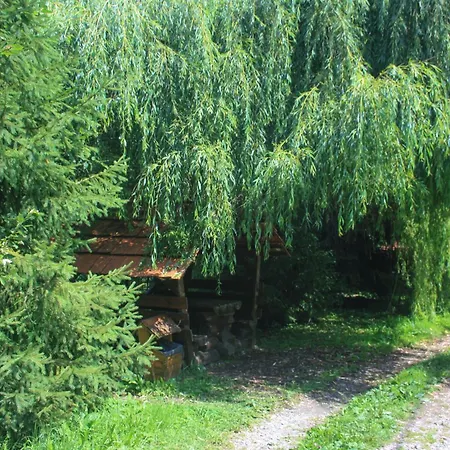 Hotel Zarinok 3*