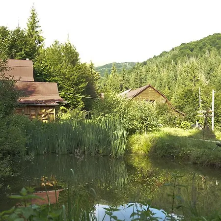 Hotel Zarinok 3*