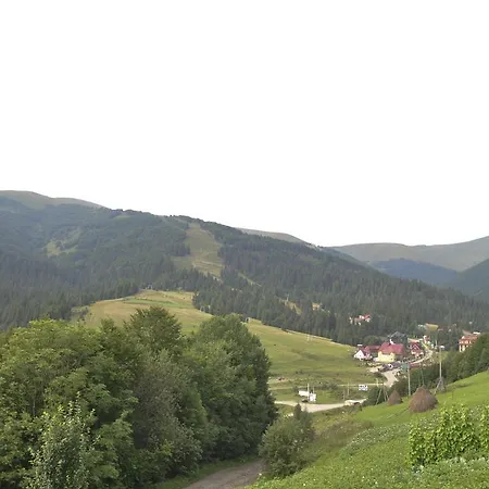 Zarinok
