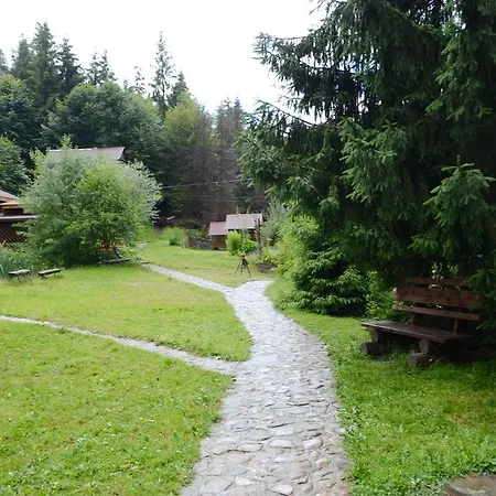 Hotel Zarinok 3*