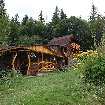 Hotel Zarinok 3*