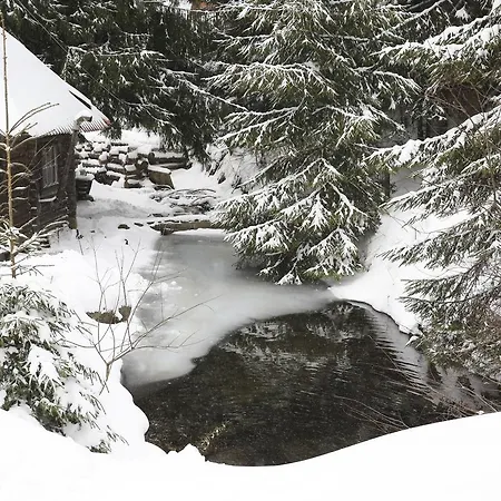 Zarinok Hotel Pilipets