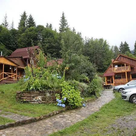 Zarinok