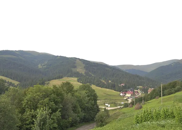 Zarinok